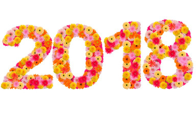New year 2018 made from gerbera flowers isolated on white backgr