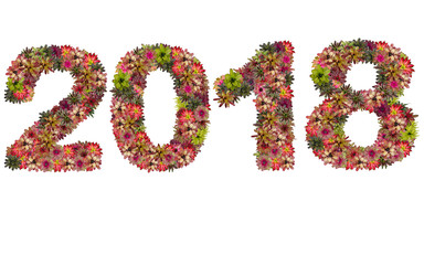 New year 2018 made from bromeliad flowers isolated on white back