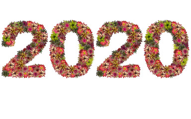 New year 2020 made from bromeliad flowers isolated on white back