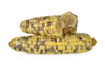 boiled white corn or glutinous corn on white background