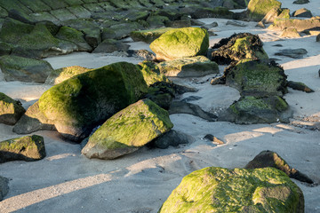 leuchtend grüne Steine am Strand