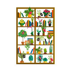 Indoor potted plants on shelves set isolated flat style illustration