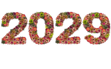 New year 2029 made from bromeliad flowers isolated on white back