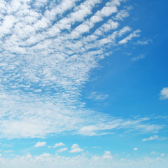 blue sky and white cumulus clouds