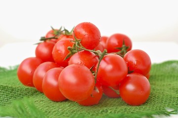 Tomatoes on the green gunny cloth on the white background