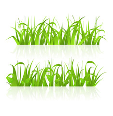  green grass 43 © akumak