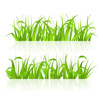  green grass 43