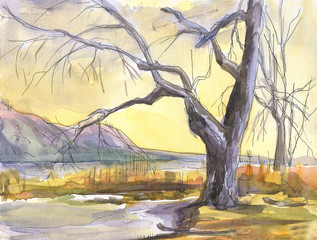 Landscape watercolor painting. Large tree on the banks of rivers, mountains, wildlife