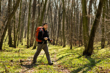 Obraz premium Active healthy man hiking in beautiful forest
