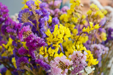 Fresh flowers still life - Stock Image