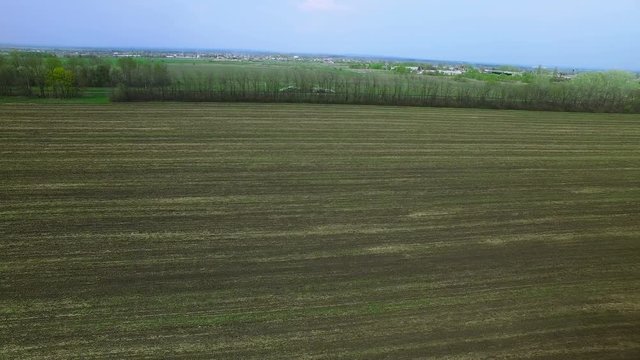 Flying over the field in early spring. aerial survey 4k