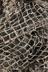 colorful fishing nets
