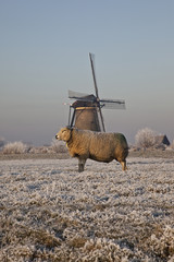 Kinderdijk in winter
