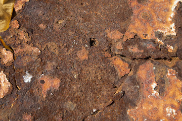 rusted metal background

