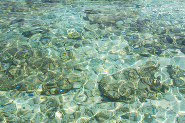 Fototapeta premium Crystal clear water of the tropical sea