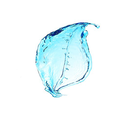 Tree leaf made of water splashes isolated on white
