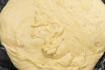 Flat lay image of dough