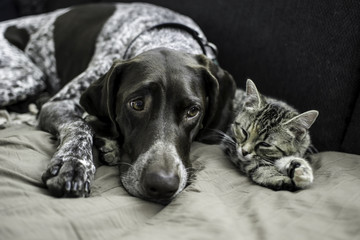 Friends