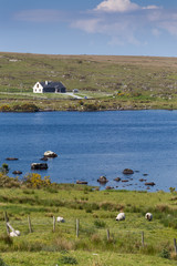 Giant's Causeway, Antrim, Northern Ireland