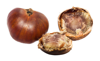Fresh single chestnut and slice of half on white background