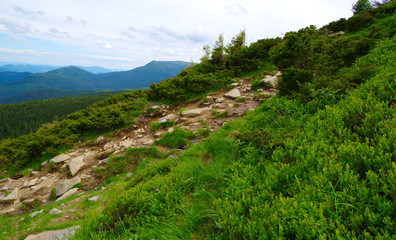 Fototapeta na wymiar Mountain landscape in summer