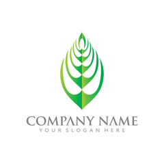 Obraz premium Leaf Logo icon