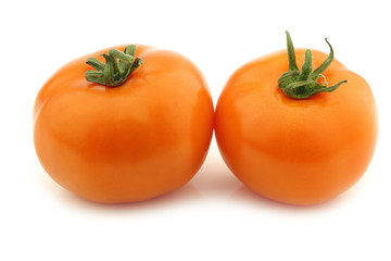 orange tomatoes on a white background