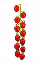 Cherry Tomaten mit Staude mit kleinen Wassertropfen