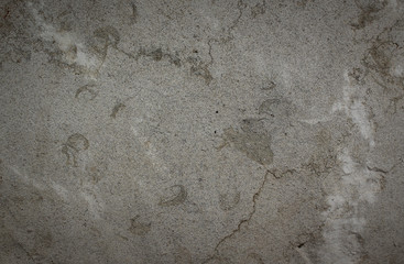 Wall concrete texture