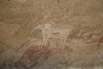 Cave painting White Elephant  in the Philips Cave at Ameib Farm in Erongo Mountains, Namibia Africa