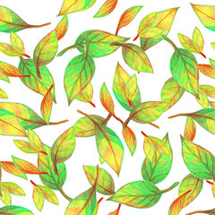 Tea leaves.Pencil drawing. Seamless pattern. Green leaves and branches on a white background. The image with colored pencils. Template for printing fabric, textile, wrapping paper. 