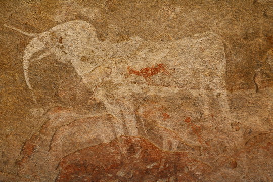 White Elephant in the Phillips Cave in Namibia, Africa