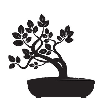 Black Vector Olive Tree. Illustration of Bonsai.