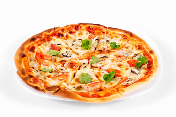 Pizza on a plate on a white background