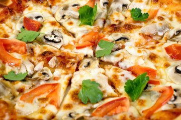 Obraz na płótnie Canvas Pizza on a plate on a white background