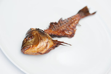 Smoked Fish Bone on a White Plate