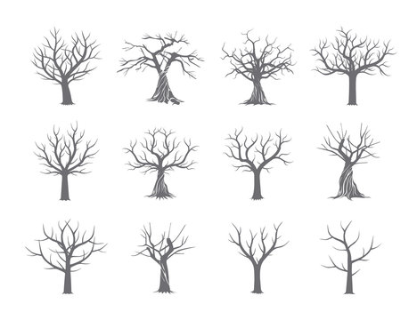 Collection of Trees without leaves. Vector Illustration.