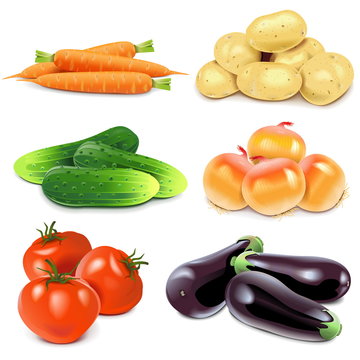 Vector Vegetables