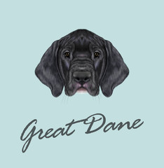 Vector Illustrated portrait of German Great Dane puppy.