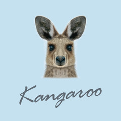 Vector Illustrated portrait of Kangaroo.