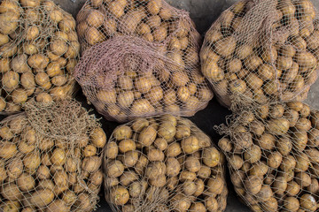 organic potatoes in the field