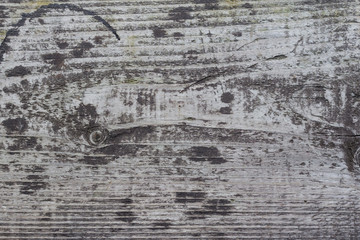 Obraz premium wood texture grey