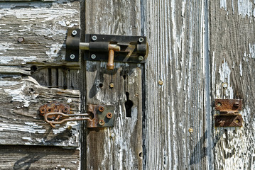 Rotting Wooden Shed Door