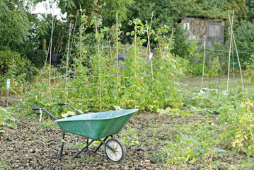 Allotment Garden where land is made available for personal cultivation of fruit and vegetables.