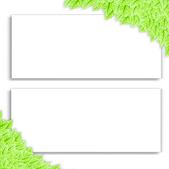 Obraz premium Green leaf and frame background , with blank place for text.