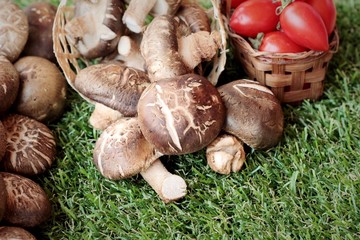 Mushrooms and vegetables for cooking.