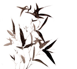 bamboo ink painting hand drawn
