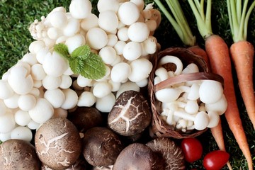 Mushrooms and vegetables for cooking.