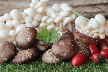 Mushrooms and vegetables for cooking.