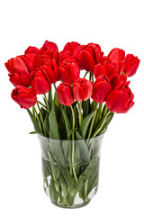Bouquet of red flowers tulips in vase, isolated on white backgro